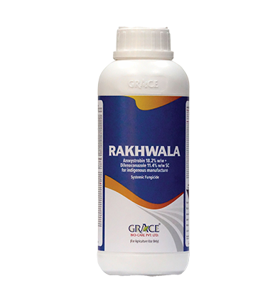 RAKHWALA
