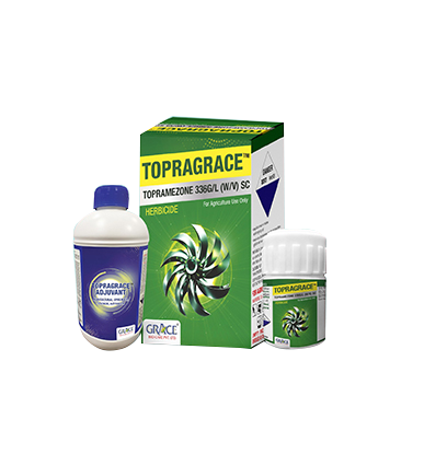 Topragrace