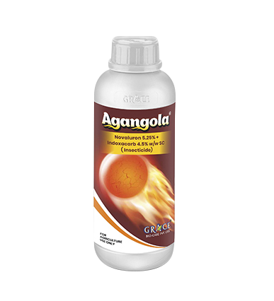 Agangola