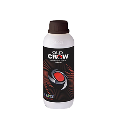 Old Crow