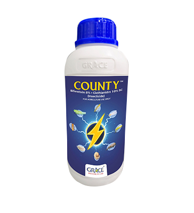 County