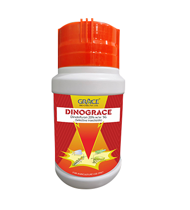 Dinograce