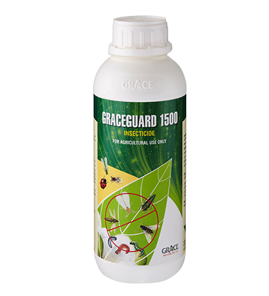 Graceguard-1500