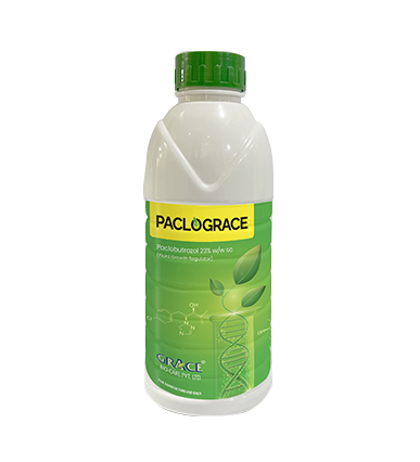 Paclograce