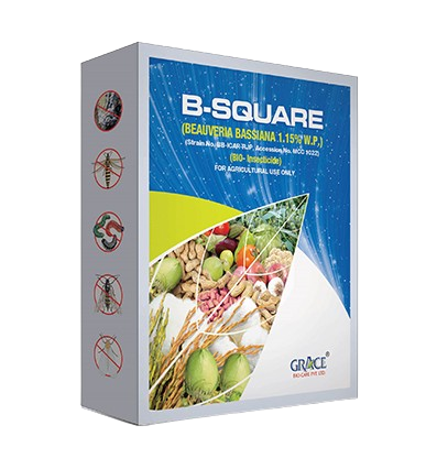B-Square
