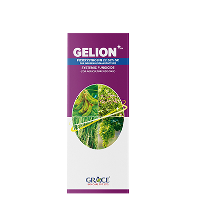 Gelion