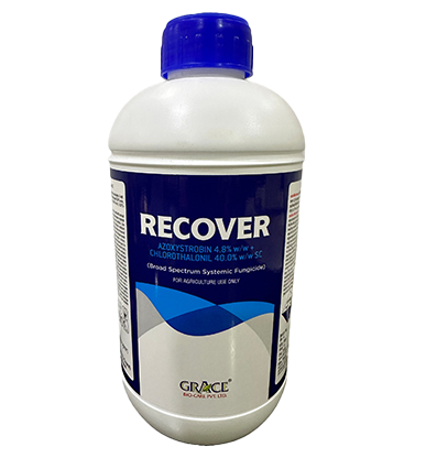 Recover