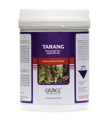 TARANG