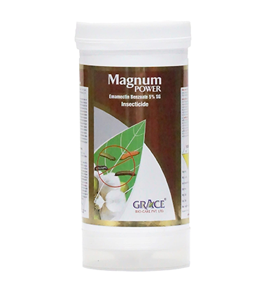 MAGNUM POWER