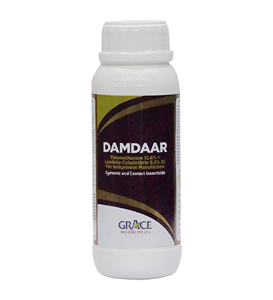 DAMDAAR