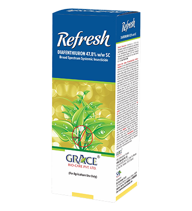 REFRESH