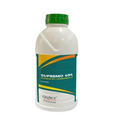 SUPREMO 404