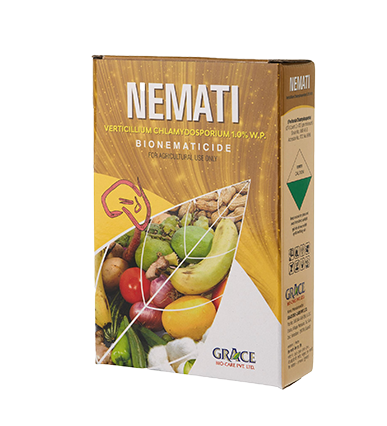 NEMATI