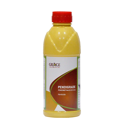  PENDIGRADE