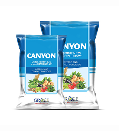 CANYON